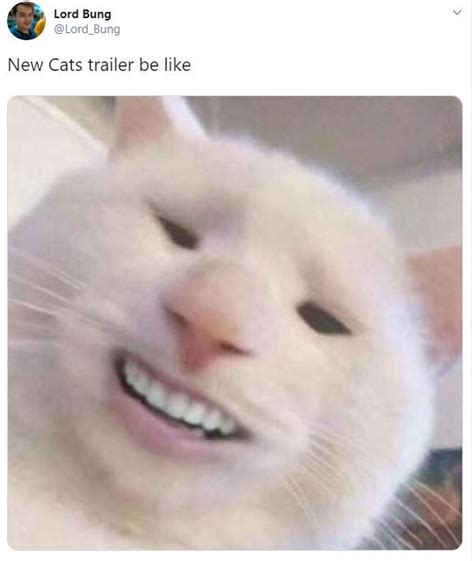 The Teeth Cats 2019 Film Know Your Meme