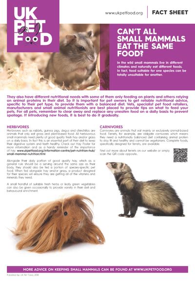 Can All Small Mammals Eat The Same Food Uk Pet Food