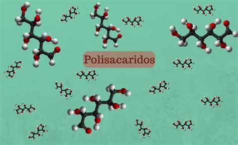 Qué Es Polisacáridos Definición Significado Y Concepto 2018