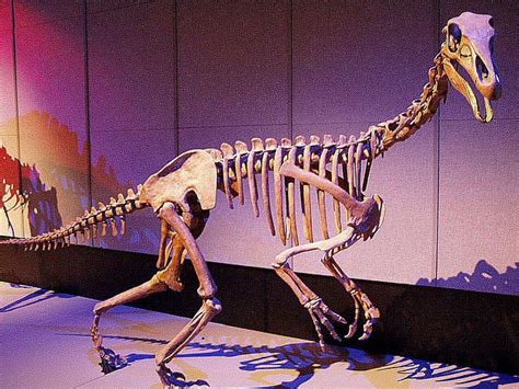Meet The Therizinosaur Dinosaurs Of The Mesozoic Era Dinosaur