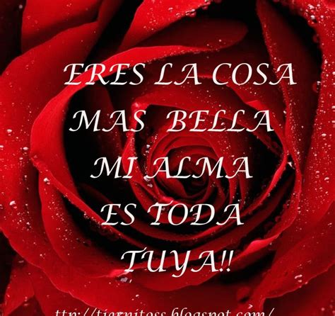 Imagenes De Una Rosa En El Dia Del Amor Para Facebook Gratis