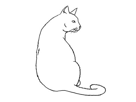 Katze Sitzend Zeichnen