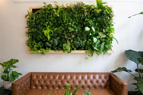 5 Mistakes to Avoid With Indoor Vertical Gardens | Custom Home Group