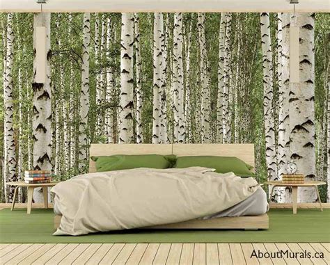 Forest murals & tree wallpaper. Birch Tree Forest Wall Mural | Removable Wallpaper from AboutMurals.ca