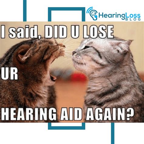 Hearing Loss Meme | Loss meme, Hearing loss, Loss