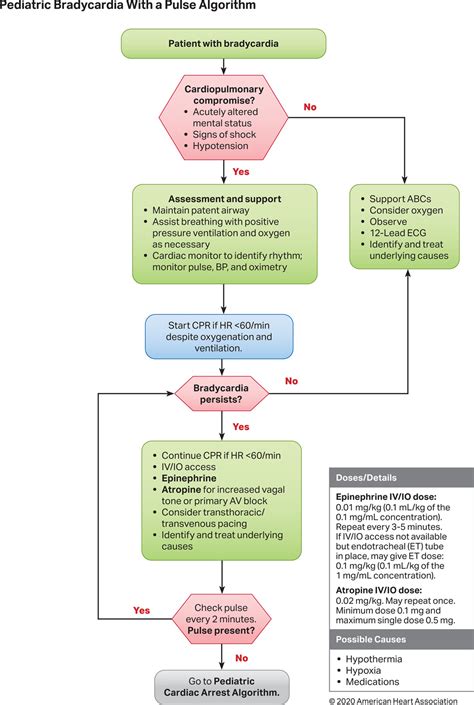 Pals Bradycardia Algorithm Acls Medical Training 43 Off