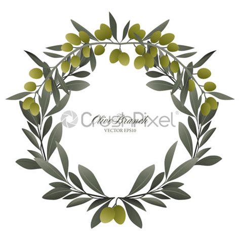 Olive Branch Wreath Isolated Vector Illustration Stock Vector 2247545