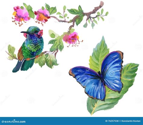Pájaro Y Mariposa Coloridos De La Acuarela Con Las Hojas Y Las Flores