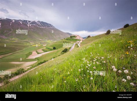 The Green Hills In Bloom Frame The Medieval Village Castelluccio Di