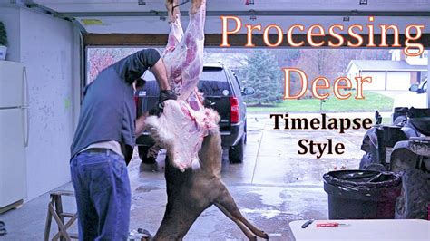 Whitetail Deer Our Processing Process Youtube