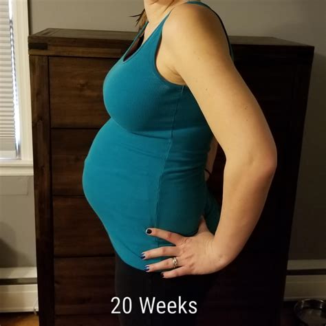 Top 94 Pictures 20 Weeks Pregnant With Twins Belly Pictures Full Hd 2k 4k