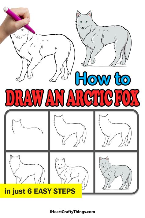 Arctic Fox Drawing How To Draw An Arctic Fox Step By Step