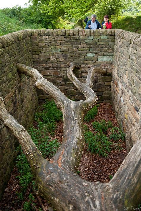 Hanging Trees By Andy Goldsworthy Yorkshire Sculpture Pa Flickr