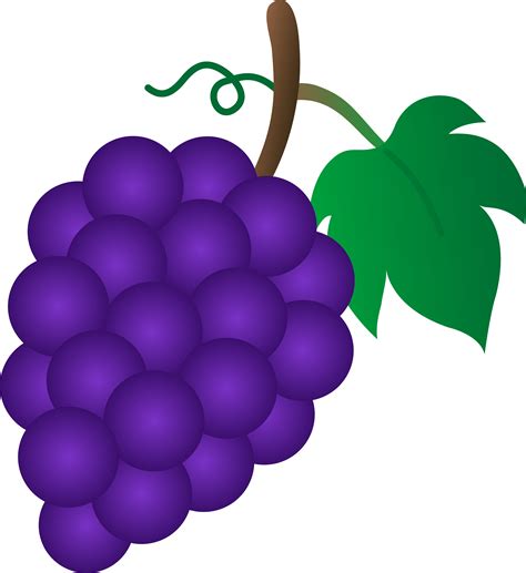 Grape Vector Clipart Best