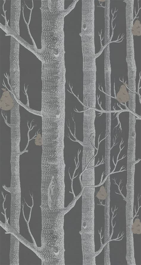 43 Cole And Sons Wallpaper Woods
