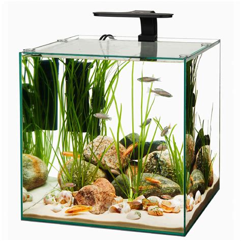 You will have to either order a custom built tank or make it yourself. Aqueon Frameless Cube Aquarium, 14 Gallon | Petco