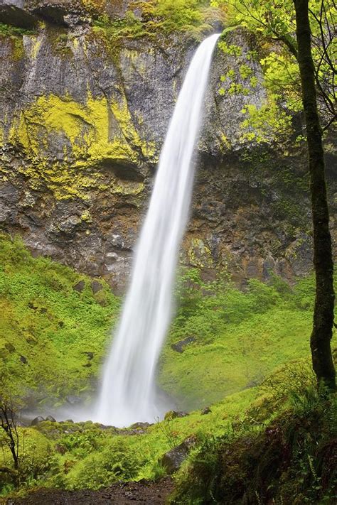 Elowah Falls In Columbia River Gorge National Scenic Area Photograph By