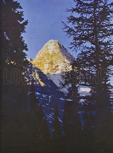 Sunrise On Mount Assiniboine Stock Image Look And Learn