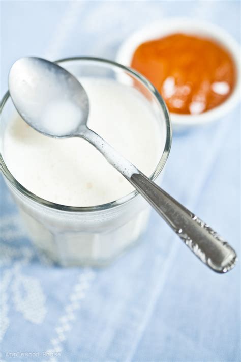 Kinder verweigern nämlich ab einem bestimmten (individuellen) zeitpunkt die milch von. Aprikosen-Mohn-Smoothie mit Marzipan - applewoodhouse.de