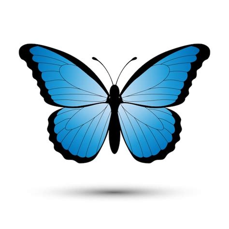 Arriba Foto Plantilla De Mariposas Azules Para Imprimir Alta Definici N Completa K K