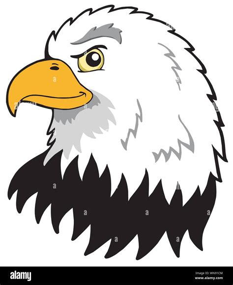 American Eagles Head Stock Vector Image And Art Alamy