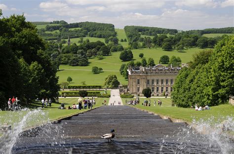 Treasure Houses Of England Chatsworth Takes Inspiration From Plant