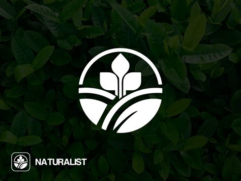 Natural Logo Design Minimalist Logo By Ahsan On Dribbble