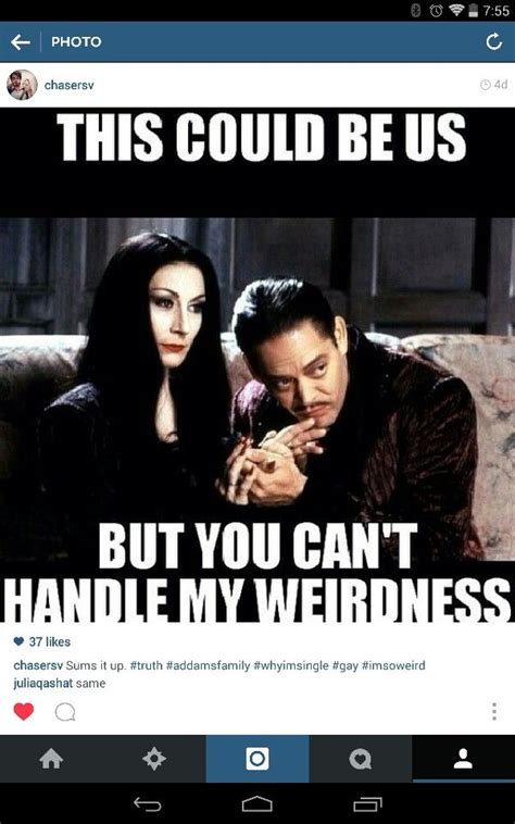 40+ tasty meme treats for bored brains. Morticia Gomez Addams | Addams family, Funny memes, Addams ...