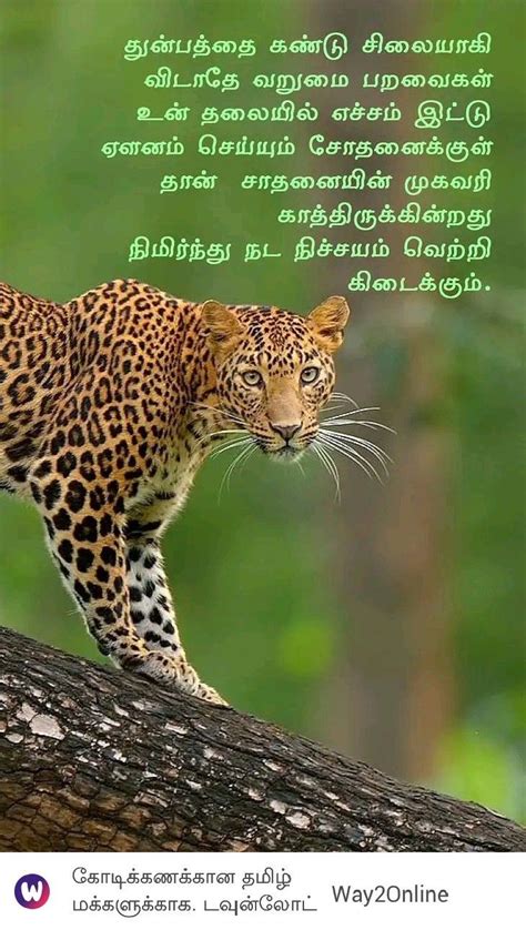 18++ Animals name list in tamil info | bestpart