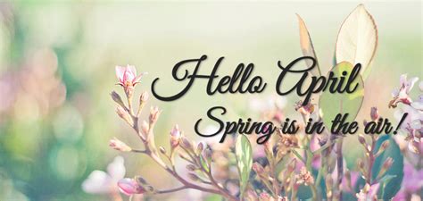 Hello April Spring Is In The Air Hello April Facebook Cover Book
