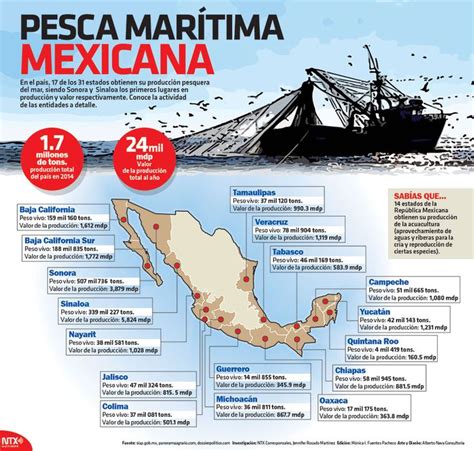 En México 17 De Los 31 Estados Obtienen Su Producción Pesquera Del Mar