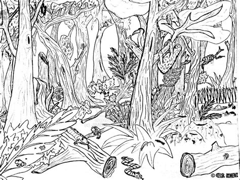 Forest Coloring Page Fun Coloring