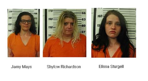 Trio Arrested On Drug Charges In Cherokee County