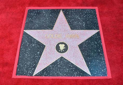 Goldie Hawns Star On The Hollywood Walk Of Fame Located At 6201
