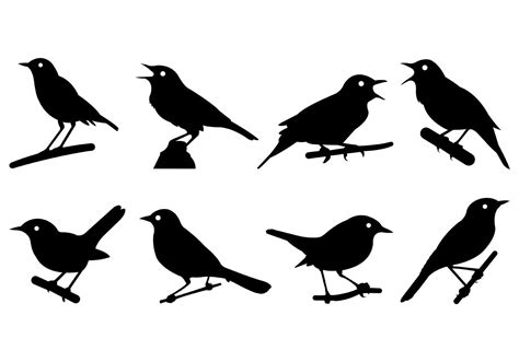 Nightingale Silhouettes Vector 120973 Vector Art At Vecteezy