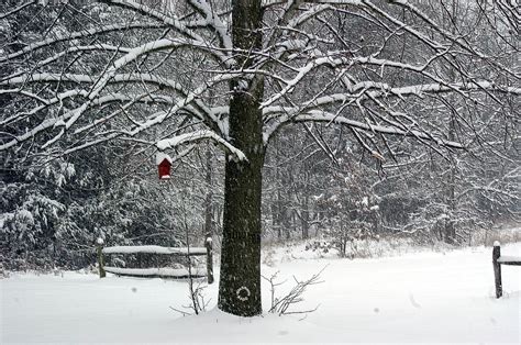 Michigan Winter Wonderland 1 By Bls35mm On Deviantart