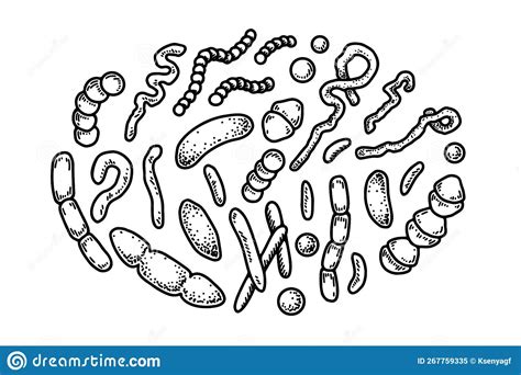 Set Of Hand Drawn Bacterias And Microorganisms Vector Illustration In