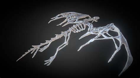 Press releases (pdf) 3d/2d files. Bone Dragon - Download Free 3D model by shenmi (@shenmi ...