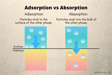 Adsorption Vs Absorption Differences And Examples