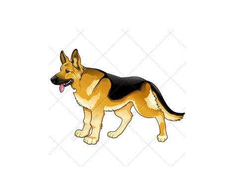 Realistic dog vector pack - animal vector graphics. Dalmatian, Pitbull