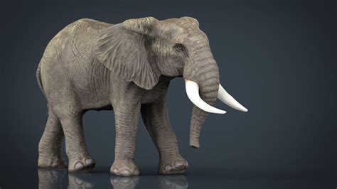3d Model African Elephant Vr Ar Low Poly Cgtrader