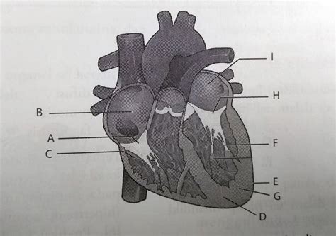 Discover more posts about berikut. Tuliskan bagian A,B, C, D, E, F, G, H, dan I pada gambar ...