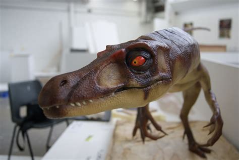 Life Size Velociraptor Mongoliensis Restoration — Stan Winston School