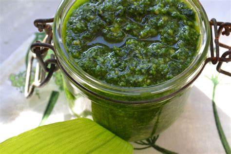Pesto d ail des ours