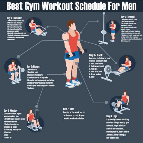 Gym Workout Schedule For Men Workout Routine For Men Gym Workout