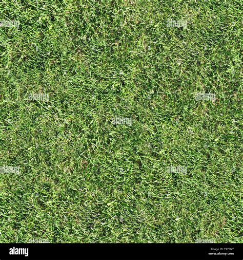 Grass Seamless Texture Tile Stock Photo Alamy