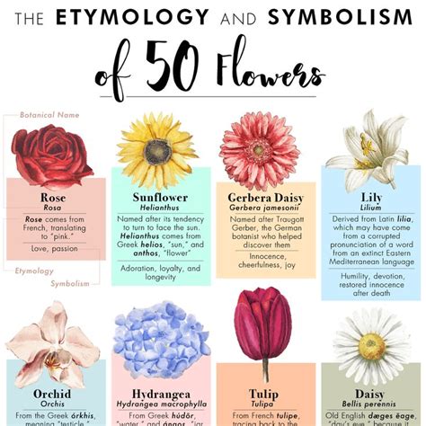 The Etymology And Symbolism Of 50 Flowers In One Poster Diy Gardening Garden Home Flower