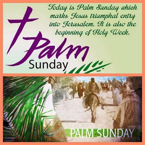 Blessed Palm Sunday To All Pictures Photos And Images For Facebook