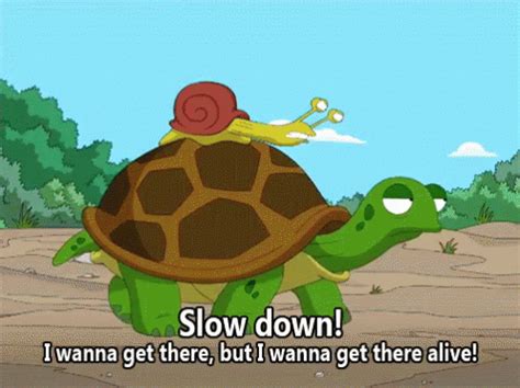 Slow Down Gif Slowdown Turtle Snail Discover Share Gifs Funny