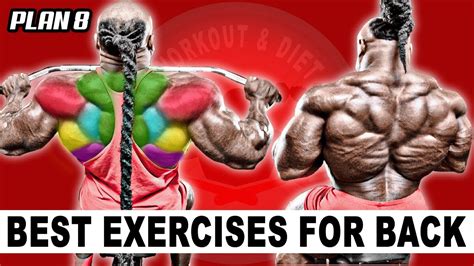 Best Back Exercises For Building Muscles Plan 8 Building Muscle